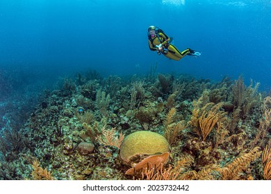Scuba diving at a reef in Belize