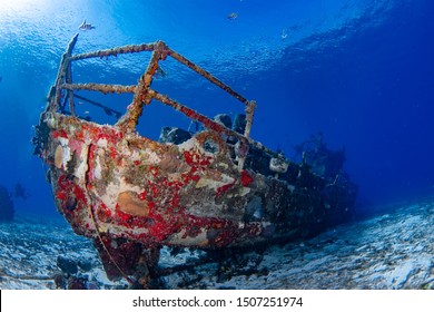 Scuba Diving Reef Of Cozumel Mexico