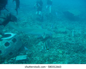 Scuba Diving Santa Rita, Guam, USA