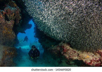 Scuba Diving With Silversides At Eden Rock, Grand Cayman, Caribbean