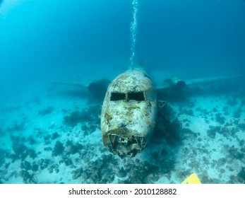 Scuba Diving With A Sunken Plane