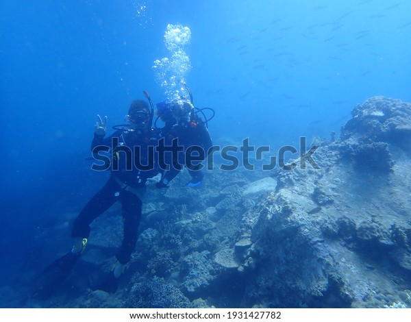 scuba diving under water, diver in blue water,\
beautiful marine