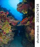 Scuba diving in an undersea canyon (Grand Cayman, Cayman Islands)