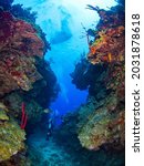 Scuba diving in an undersea canyon (Grand Cayman, Cayman Islands)