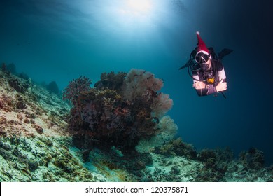 Scuba Santa, Underwater On A Healthy Reef