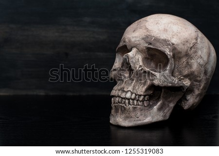 Scull altar background