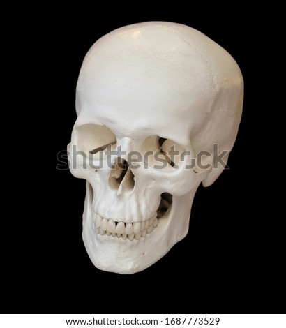 scull isolated on black background