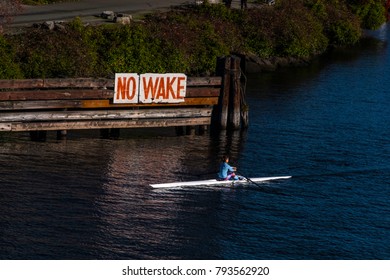 Sculling By The Fremont Bridge, Seattle