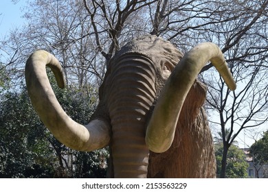 Sculpted Lifesize Elephant with Large Tusks in Sunny Barcelona Public Park