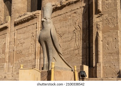 Sculpture of a falcon in a crown at the entrance to the Temple of Horus in Edfu. A granite statue of a bird stands on a pedestal against a stone wall with carved drawings and hieroglyphs. Egypt