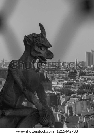 Similar – Image, Stock Photo Gargoyle on Notre Dame In Paris at sunset