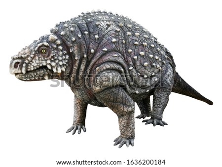 Scutosaurus (Shield lizard) is the herbivore genus of Parareptiles. It armor-covered Pareiasaur that lived during the Late Permian Period, Scutosaurus isolated on white background with clipping path