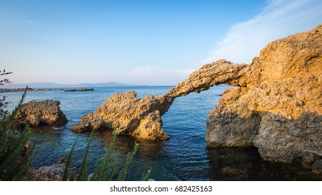 Sea