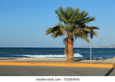 Sea