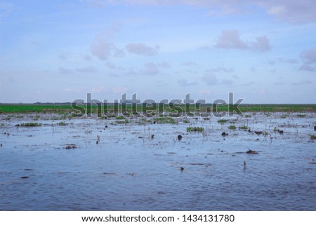 Similar – Nach der Sturmflut Nordsee