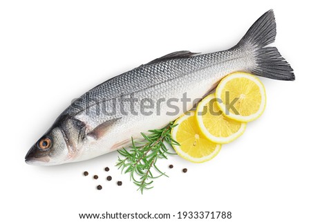 Sea bass fich isolated on white background with clipping path and full depth of field. Top view. Flat lay