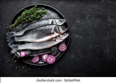 Sea Bass Fish