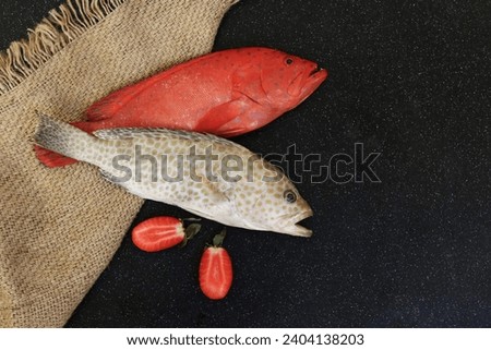Sea bass, speckled fish,Cephalopholis,Areolate grouper, blue-spotted seabass, yellow-spotted grouper, marine ray-finned fish, sea bass, fish, perch, free space, top view, on a black background Stock photo © 