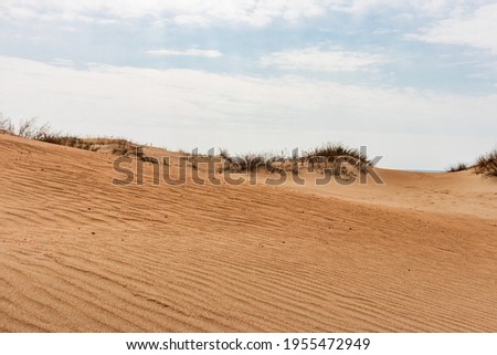 Similar – beach walk Calm