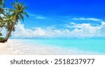 Sea beach, paradise tropical island, beautiful nature panorama landscape, turquoise ocean water, coconut palm trees, white sand, summer holidays, vacation, travel banner, Caribbean, Maldives, Thailand