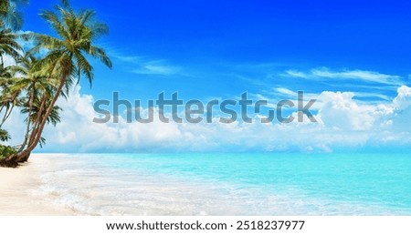 Sea beach, paradise tropical island, beautiful nature panorama landscape, turquoise ocean water, coconut palm trees, white sand, summer holidays, vacation, travel banner, Caribbean, Maldives, Thailand