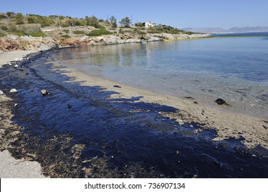 Sea and beach polluted by oil.