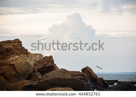 Sea. Beautiful sea sunset. Rocks, sea and seagulls flying in the clouds. The concept of a good holiday and travel to the sea