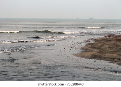 Sea Belt India Kokan Stock Photo 755288443 | Shutterstock