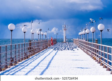 Sea And Blue Sky. Sea Birds Sitting On Pier. Winter Beach. Winter Scene