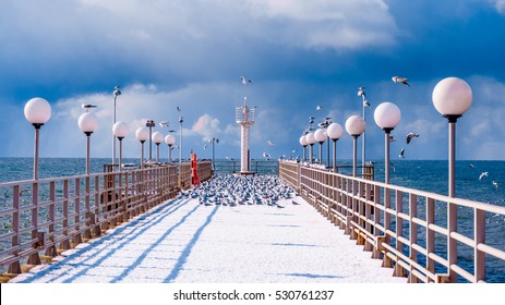 Sea And Blue Sky. Sea Birds Sitting On Pier. Winter Beach. Winter Scene