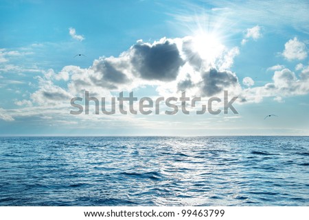 Sea with blue water, sky and clouds. Flying seagulls above the seascape