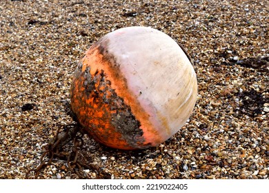 Sea Bouy Left Stranded On The Beach