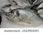 Sea bream fish on fishmonger display