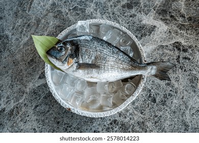 sea bream in high reolution image and isolated with blurry ends and different angles