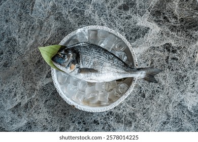 sea bream in high reolution image and isolated with blurry ends and different angles