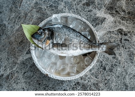 sea bream in high reolution image and isolated with blurry ends and different angles