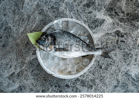 sea bream in high reolution image and isolated with blurry ends and different angles