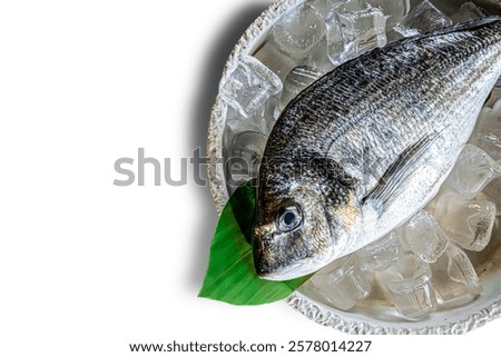sea bream in high reolution image and isolated with blurry ends and different angles