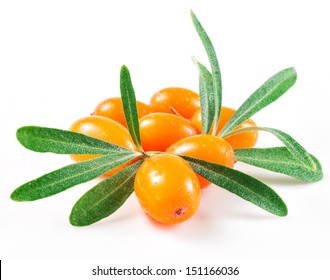 Sea Buckthorn Isolated On The White