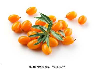 Sea Buckthorn Isolated On The White.