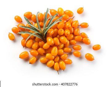 Sea Buckthorn Isolated On The White.