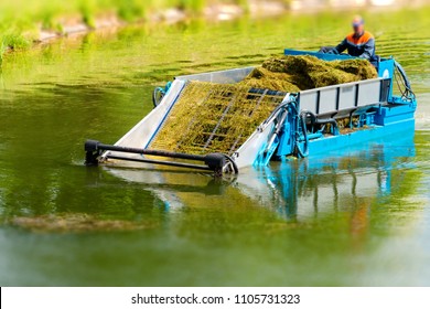 Sea Cleaning, Lake Cleaning, River Cleaning