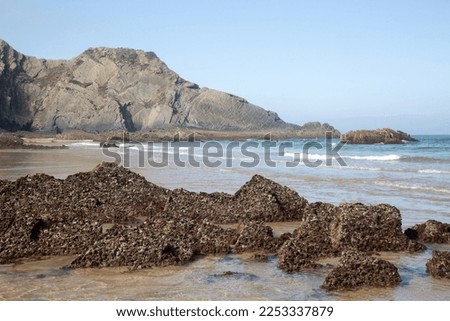 Sea, Cliffs and Rocks at Odeceixe Beach; Algarve; Portugal