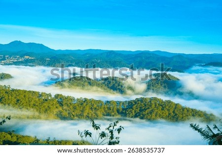 Sea of clouds floating above pine forests at the morning, in Cau Dat, Da Lat, Vietnam.