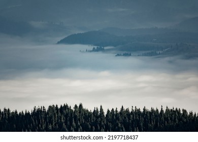 Sea of clouds in the mountain valley. Artisticalpine landscape - Shutterstock ID 2197718437