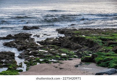 sea coast ocean waves with rocks with green moss