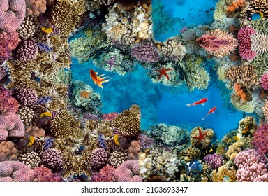 Sea. corals. top view. Image for 3d floors. Fish. bottom. - Shutterstock ID 2103693347