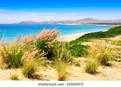 Sea Of Cortez And Beach In Los Cabos, Mexico