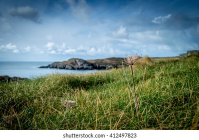 Sea Cost, North Of Wales