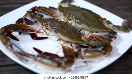 89 Crab lice Images, Stock Photos & Vectors | Shutterstock